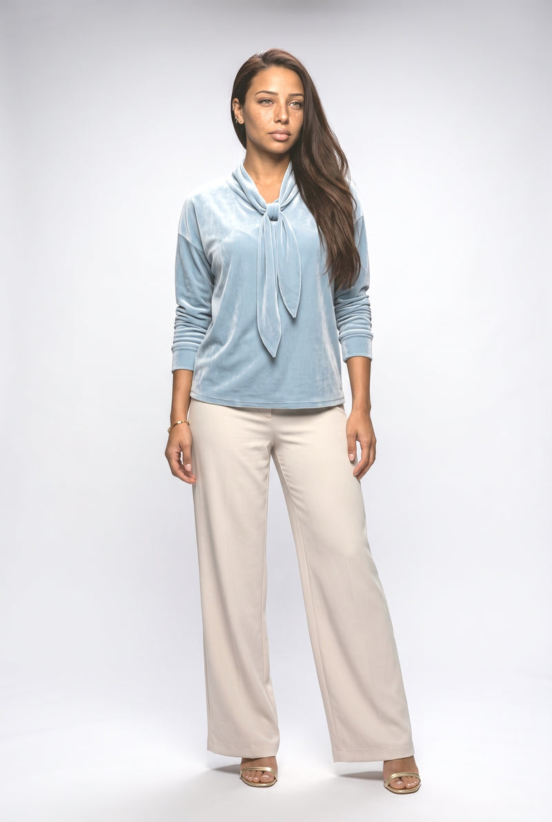 Light Blue Velvet Blouse