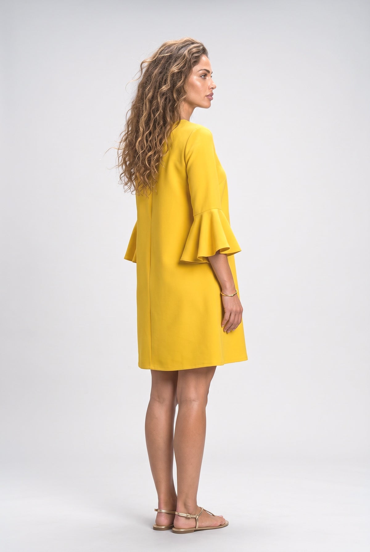 Bell Sleeve Mini Dress, back view