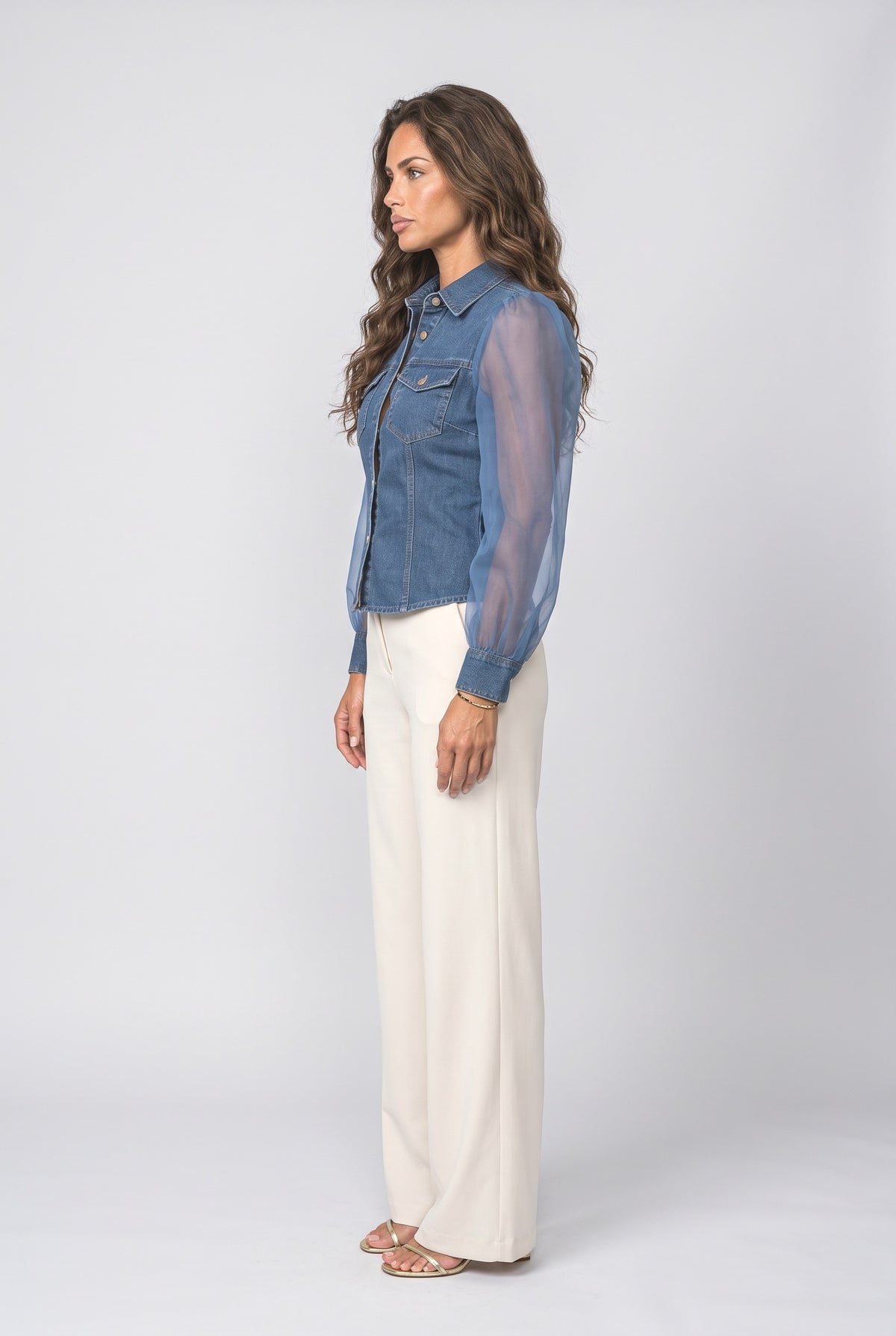 Denim Puff Sleeve Blouse, back view