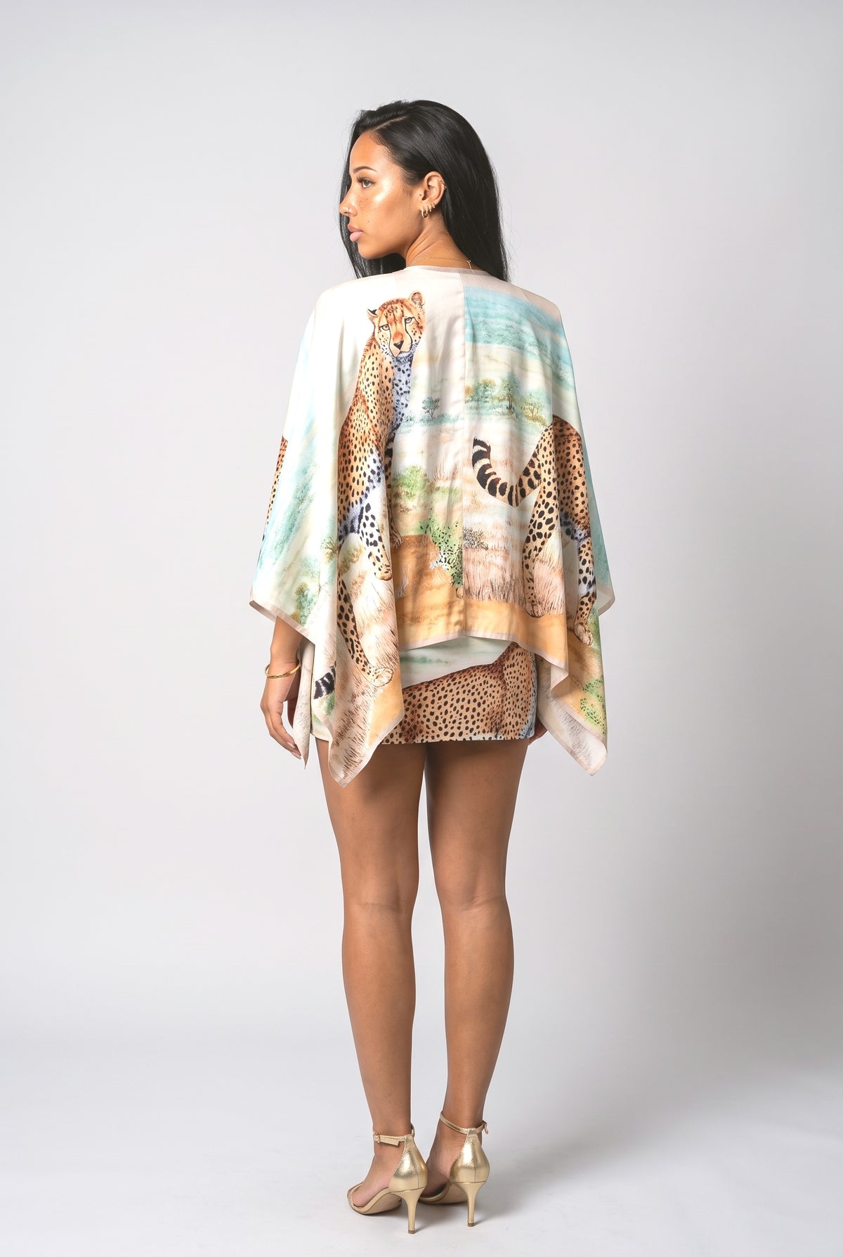 Multicolor V-Neck Cape Mini Dress, back view