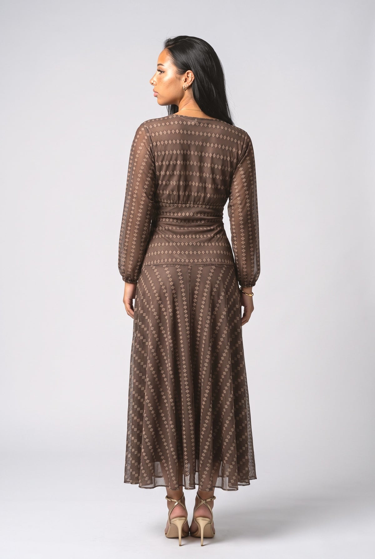 Brown Mesh V-Neck Maxi Dress, back view