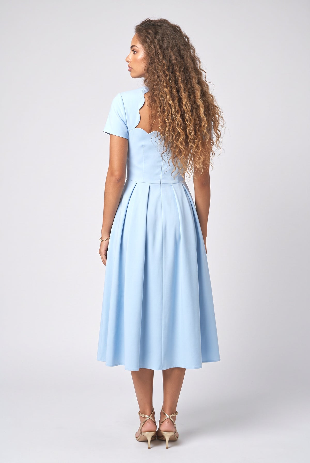 A-Line Midi Dress, back view