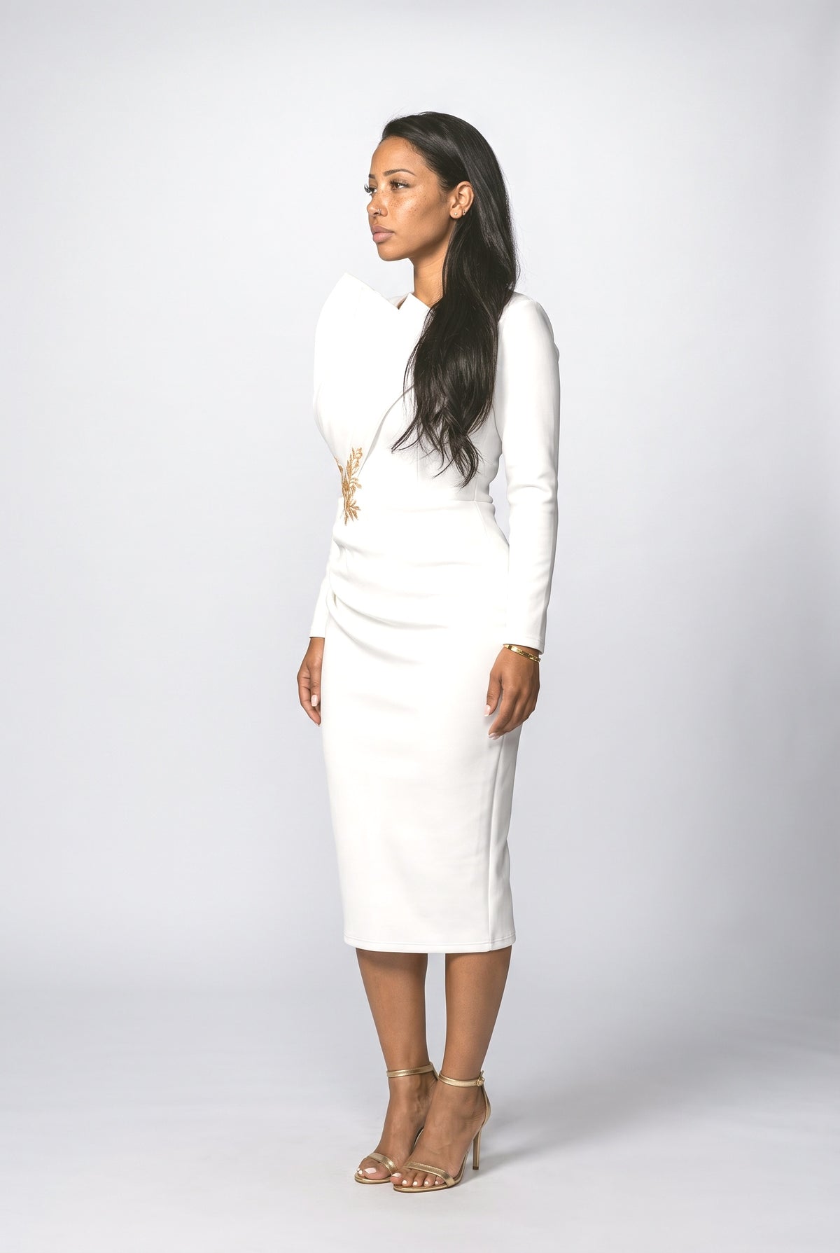 Long Sleeve Midi Dress, back view