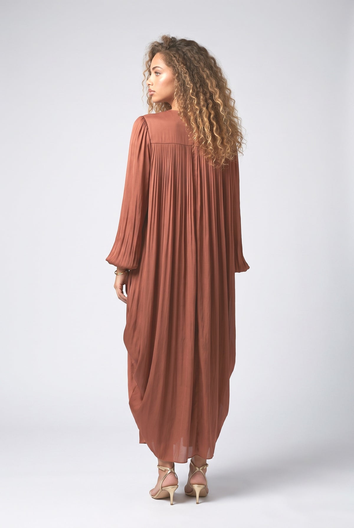 Pleated Flowy Long-Sleived Maxi Dress, back view