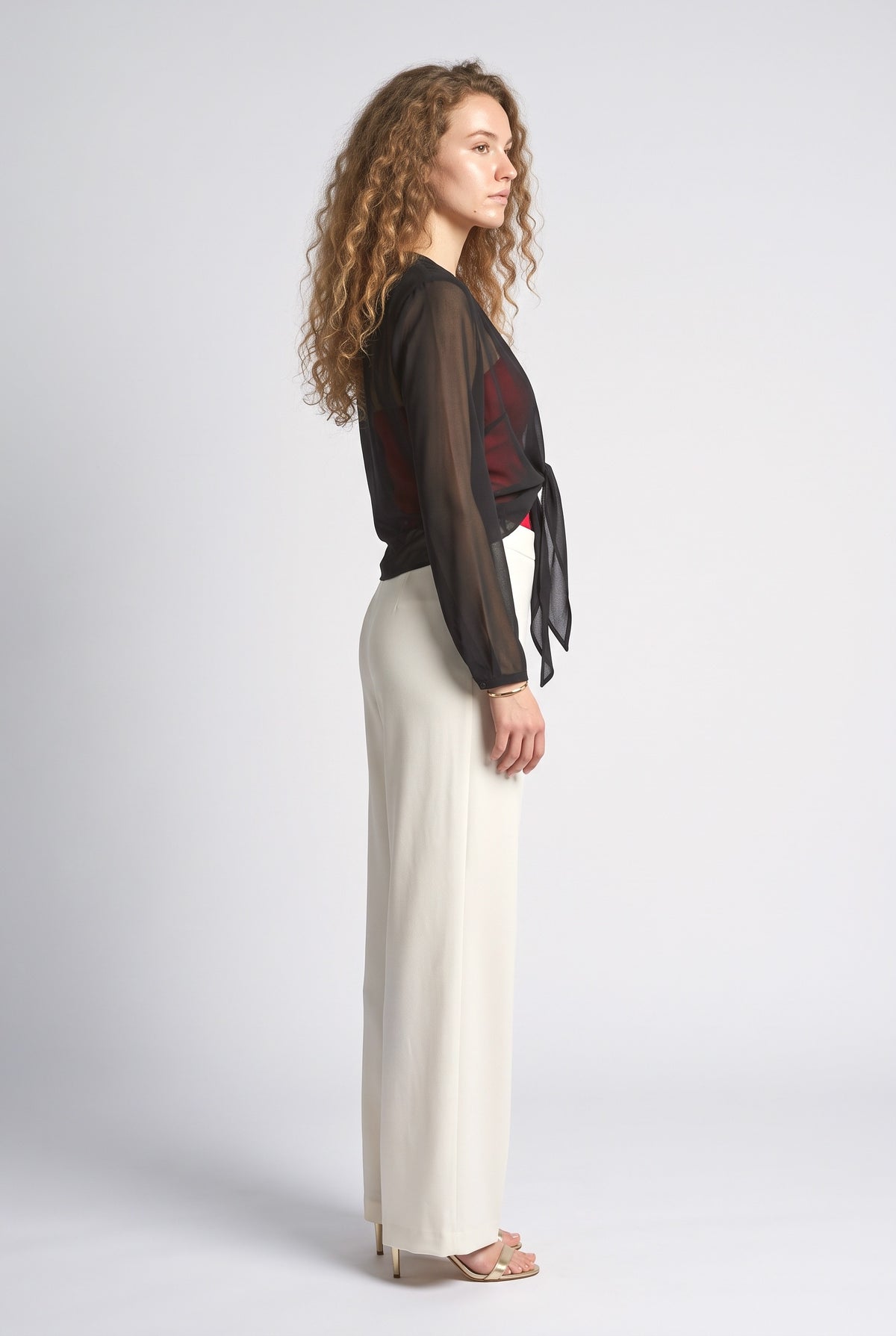 Chiffon Blouse, back view