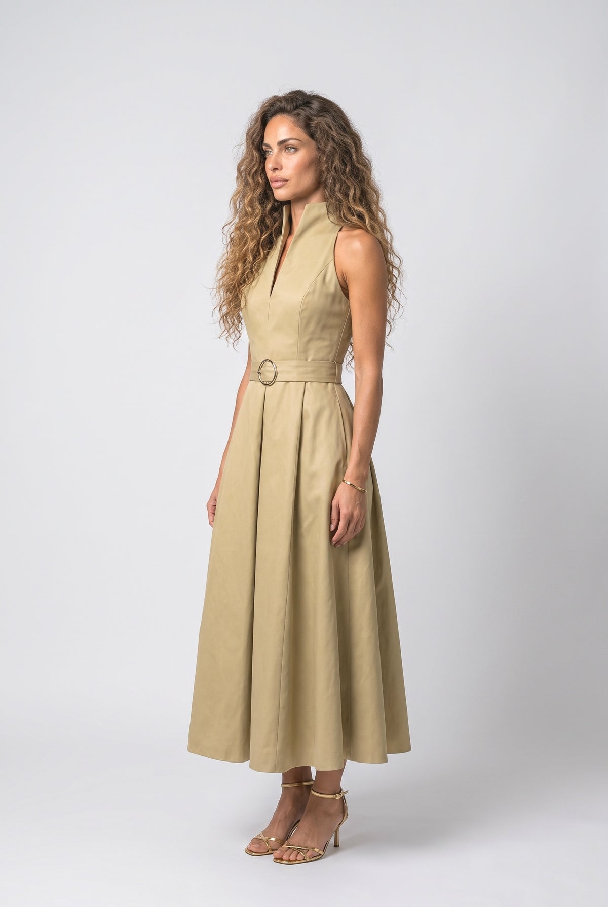 Midi Dress, back view
