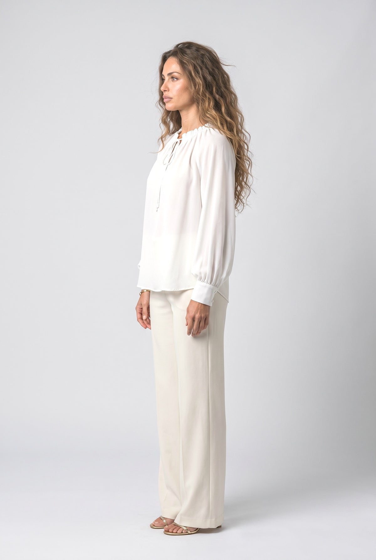 Chiffon Blouse, back view