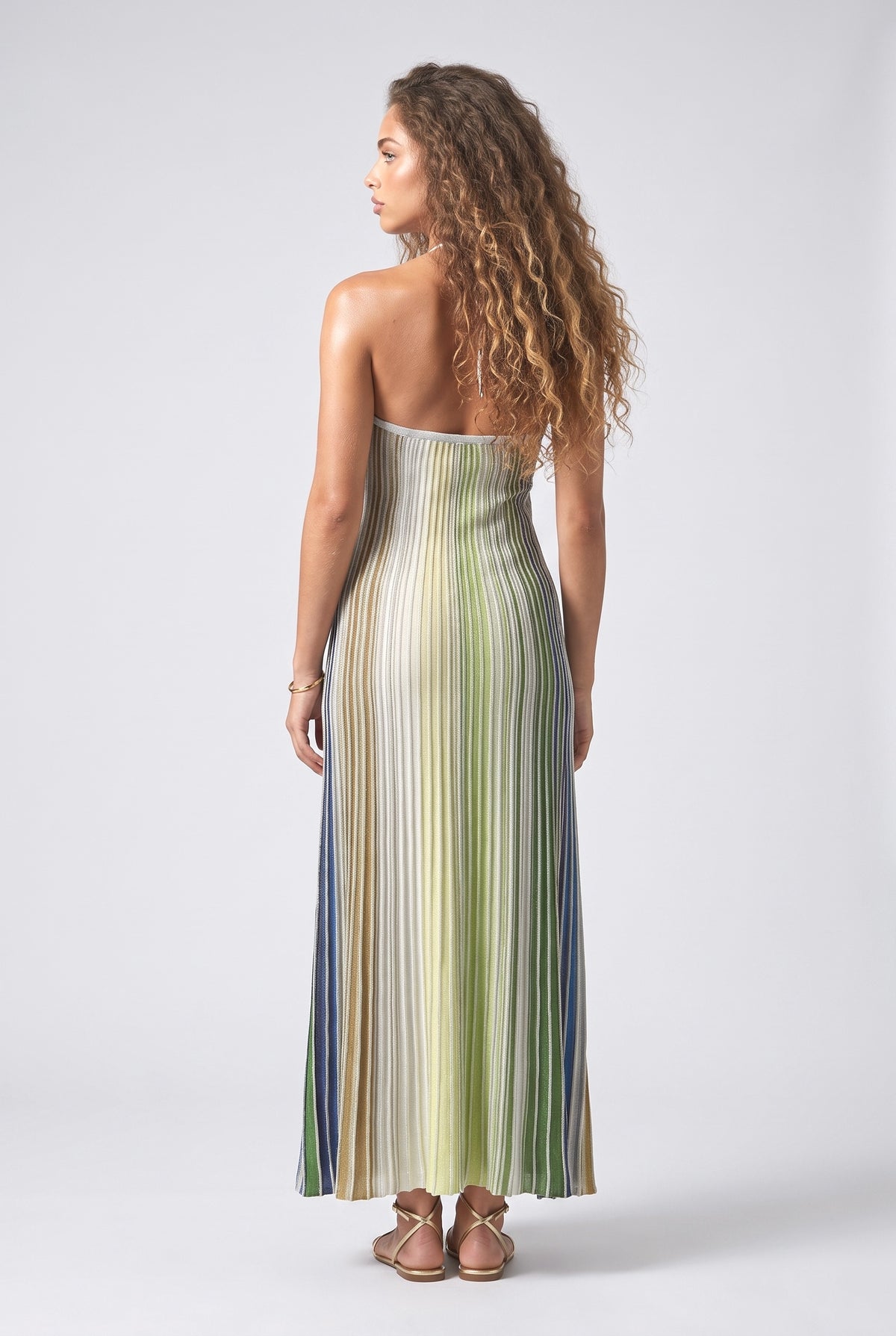 Multicolor Halter Neck Maxi Dress, back view